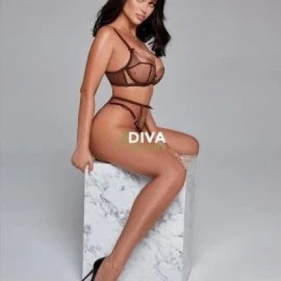 Camel