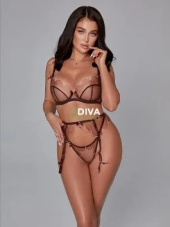 Camel