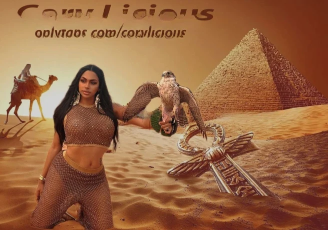 Fantasy Ts
