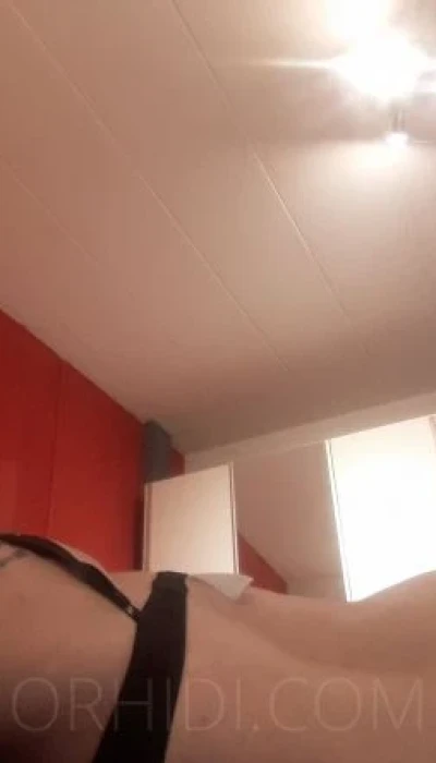 Mia Babe