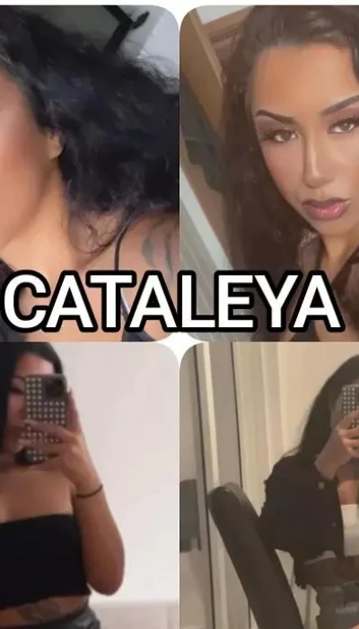 Al Jouw Dromen Laten Uitkomen Neem Contact